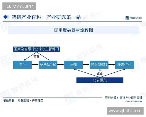 体育产业链全景解析及其未来发展趋势深入探讨