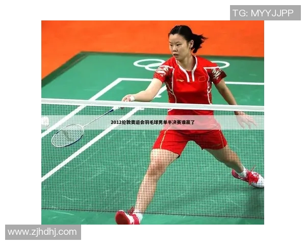 羽毛球赛事裁判判罚标准与公平性探讨及其影响因素分析